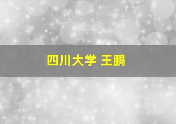 四川大学 王鹏